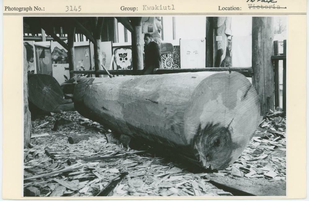 Image representing photograph.