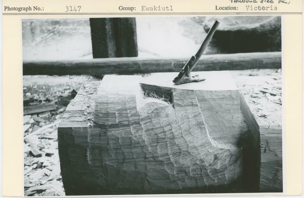 Image representing photograph.