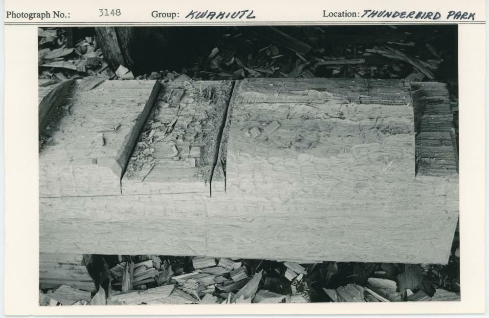 Image representing photograph.