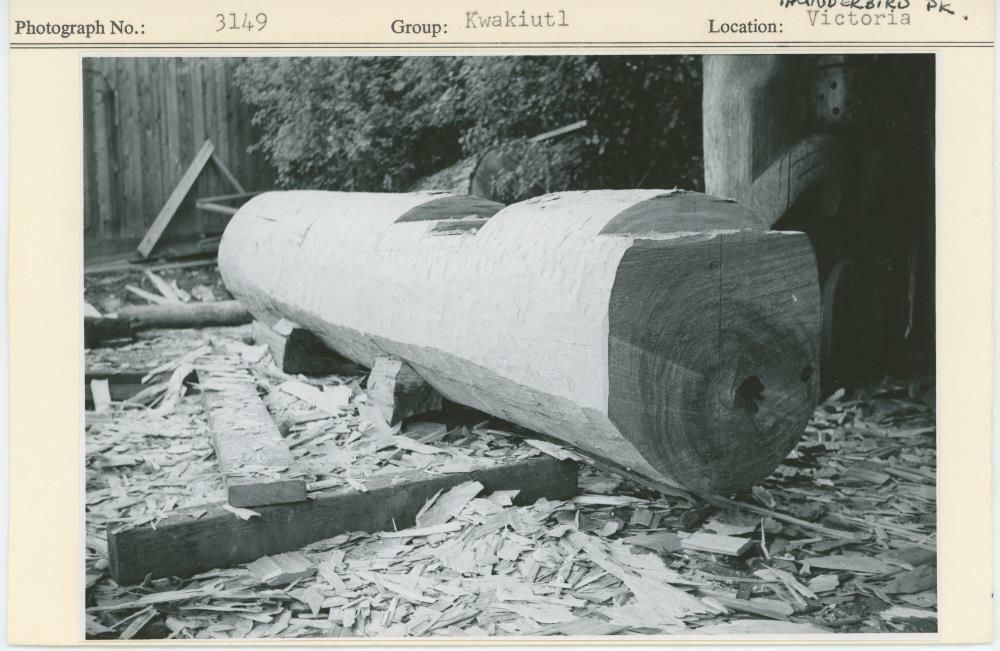 Image representing photograph.