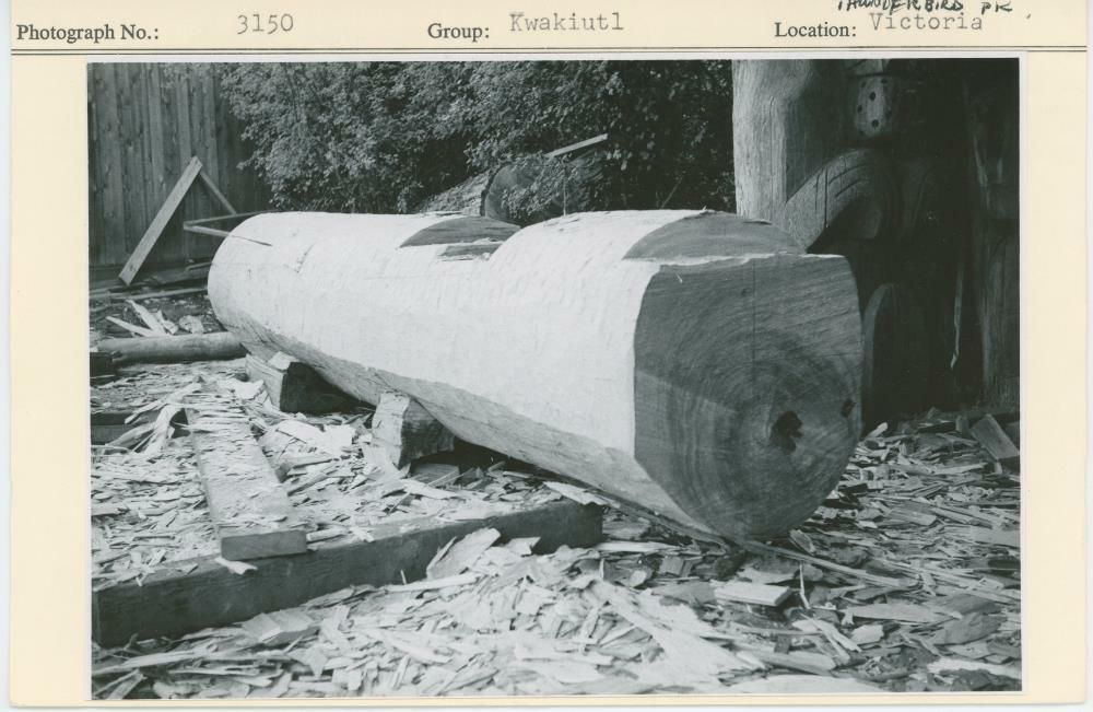 Image representing photograph.