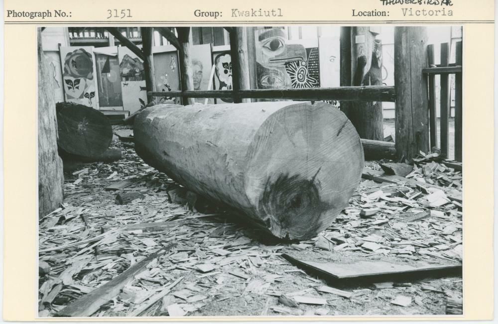 Image representing photograph.