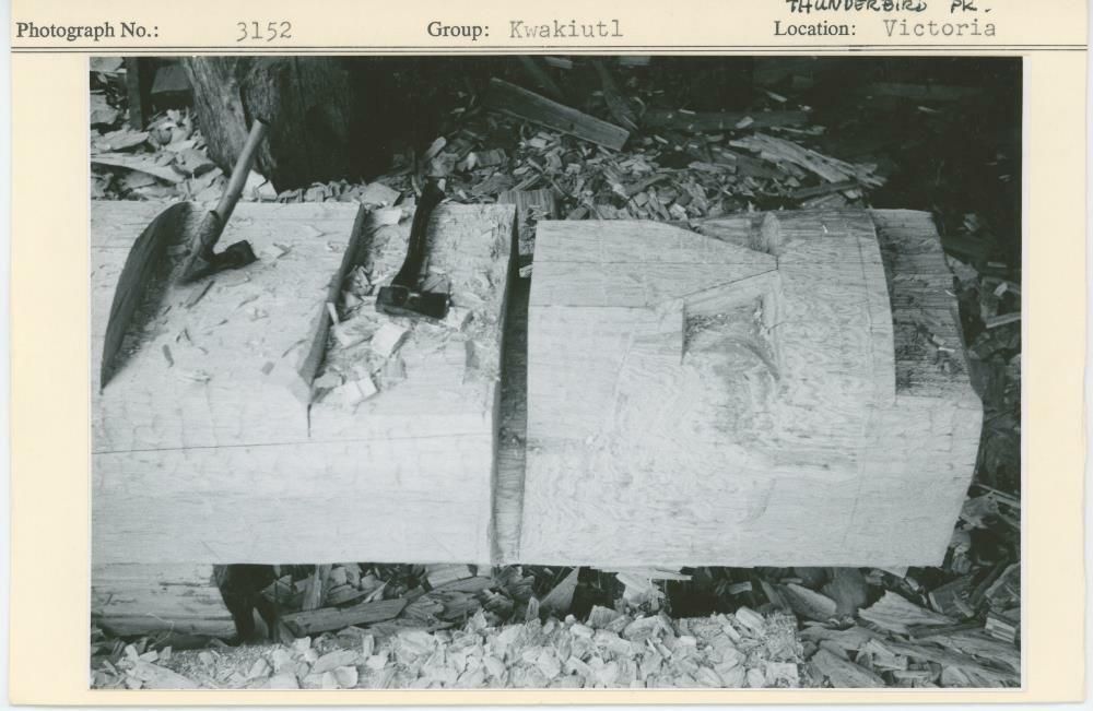 Image representing photograph.