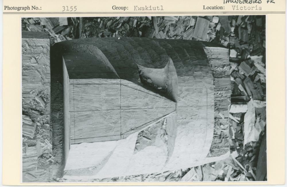 Image representing photograph.