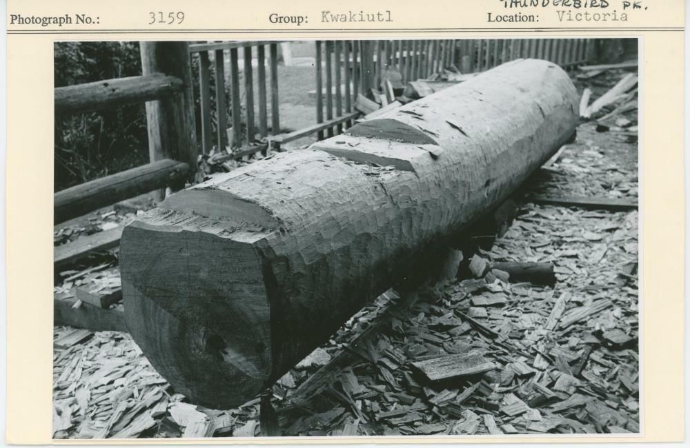 Image representing photograph.