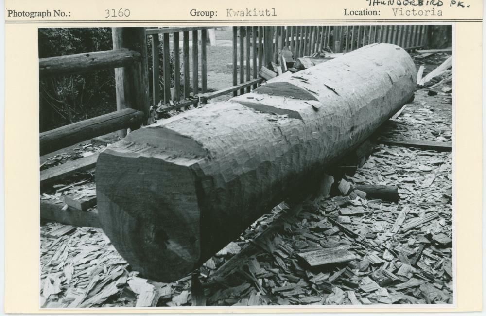 Image representing photograph.