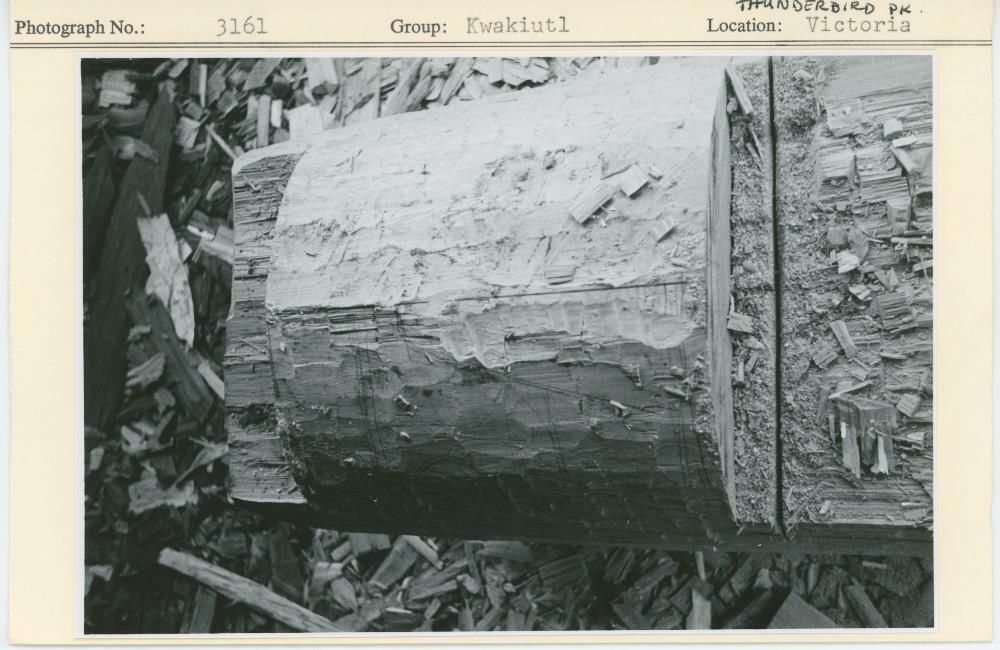 Image representing photograph.