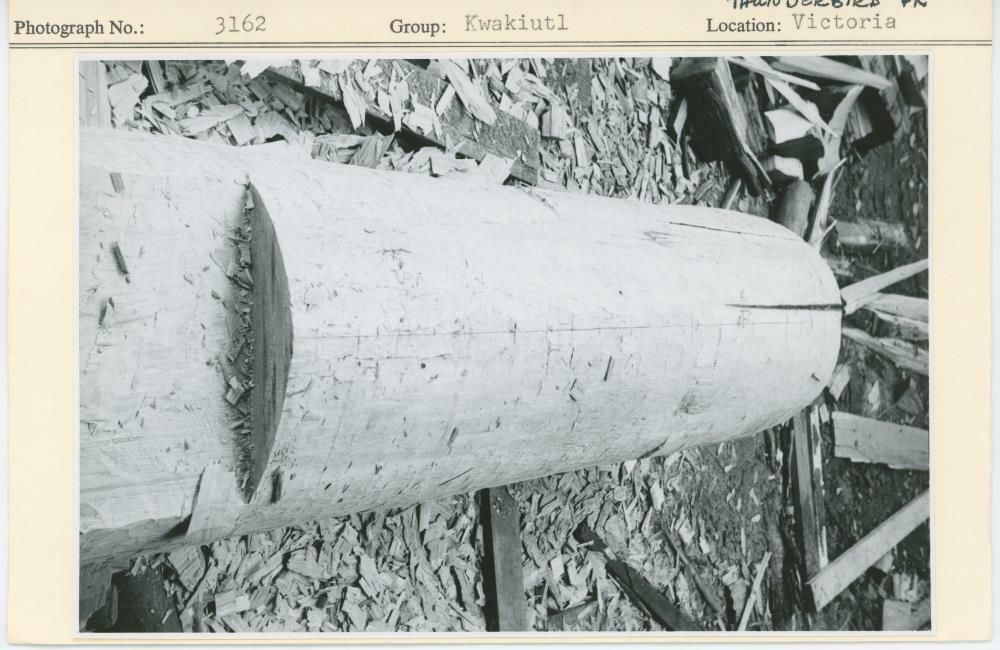 Image representing photograph.