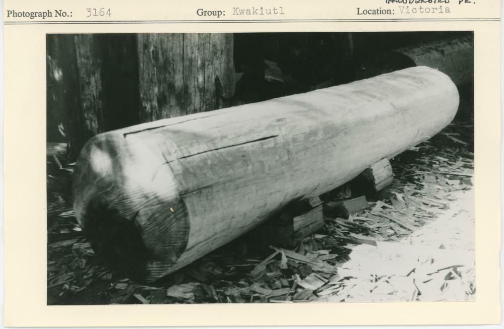 Image representing photograph.