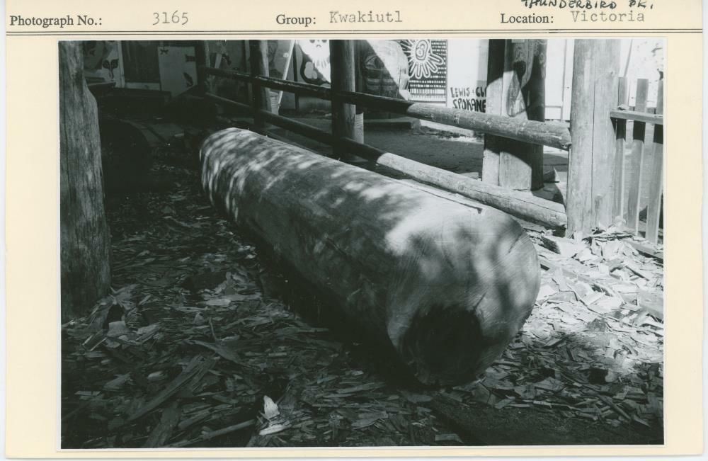 Image representing photograph.