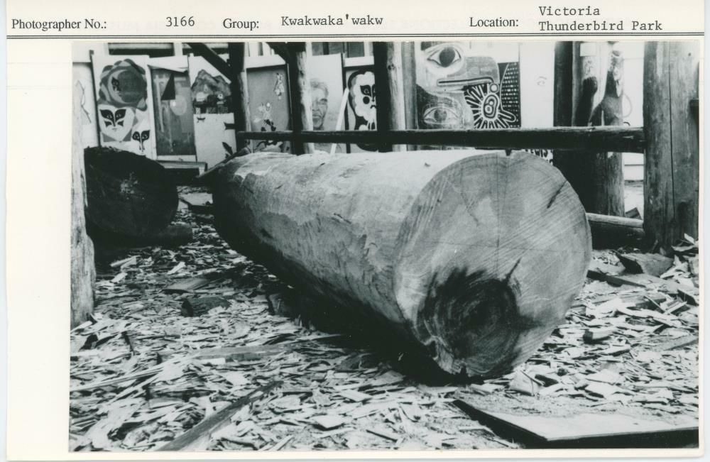 Image representing photograph.