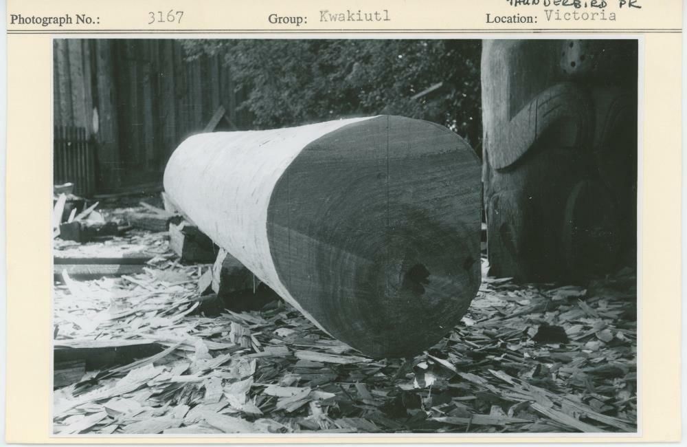 Image representing photograph.