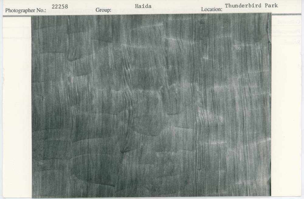 Image representing photograph.