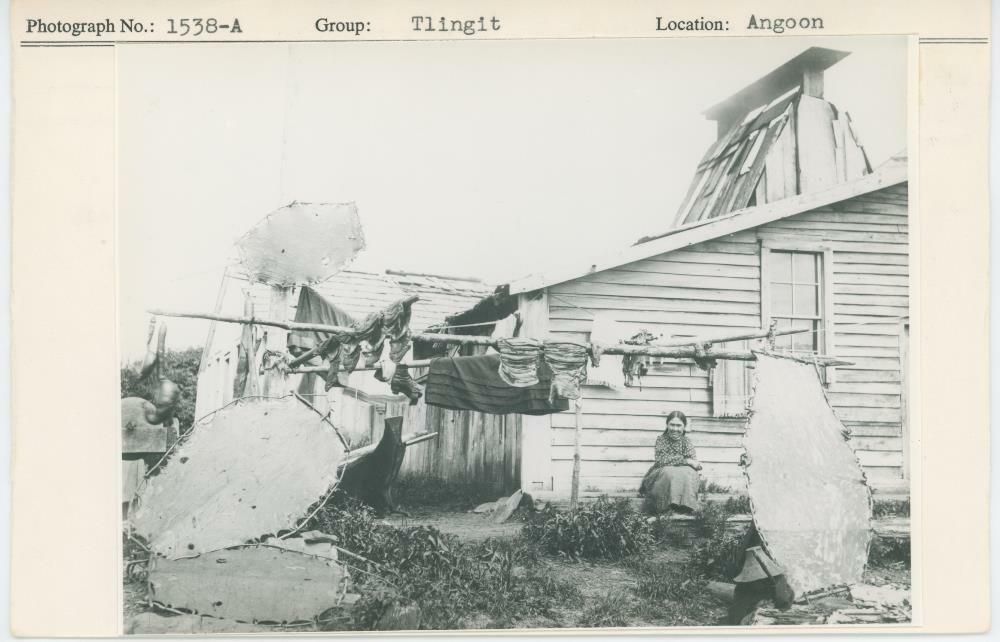 Image representing photograph.