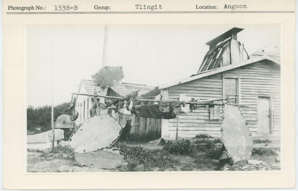 Image representing photograph.