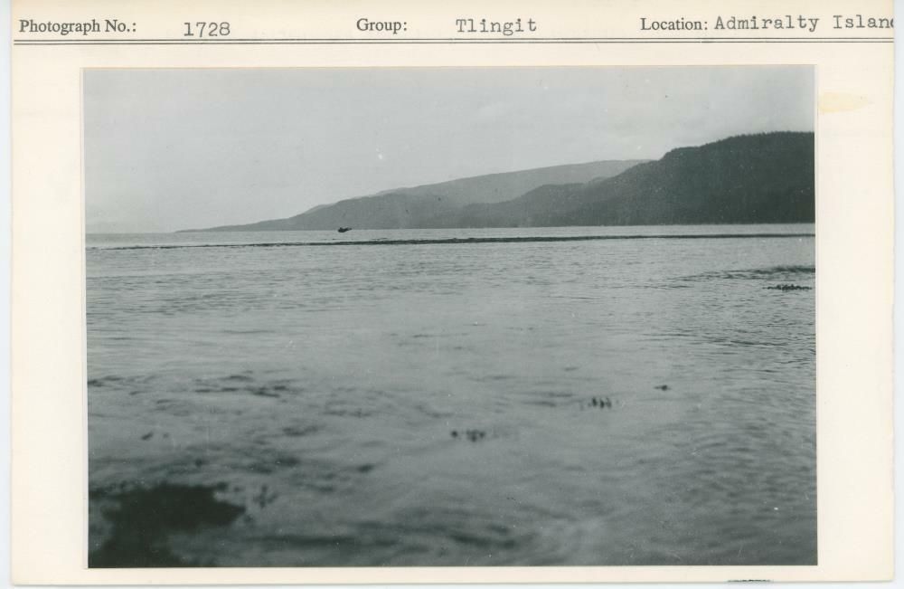 Image representing photograph.