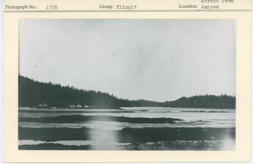 Image representing photograph.