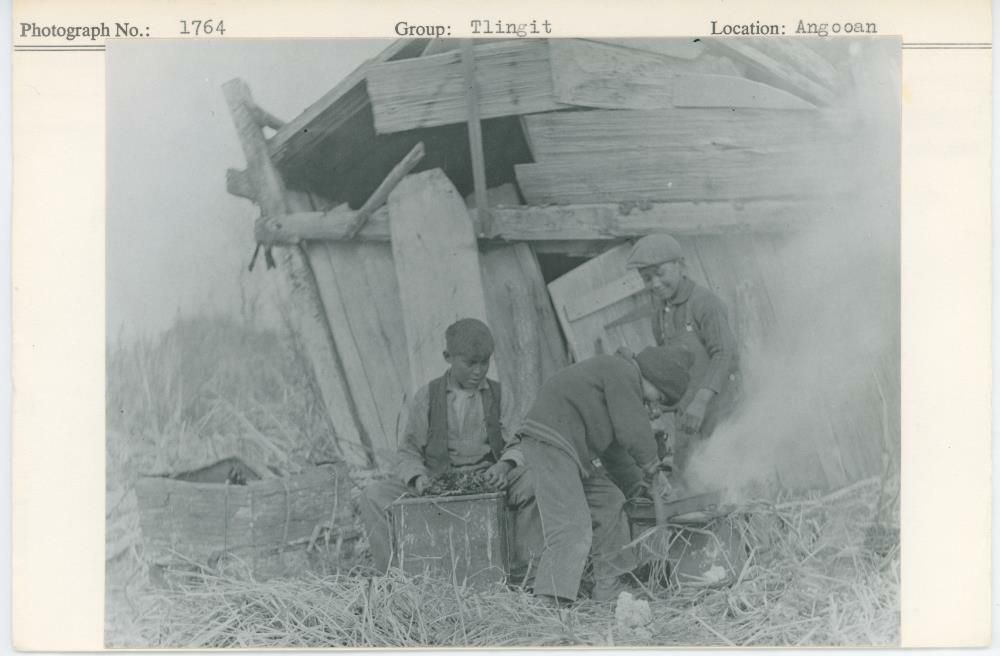 Image representing photograph.