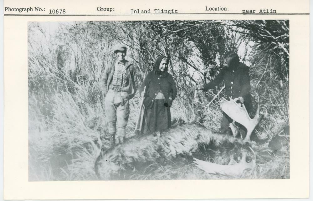 Image representing photograph.