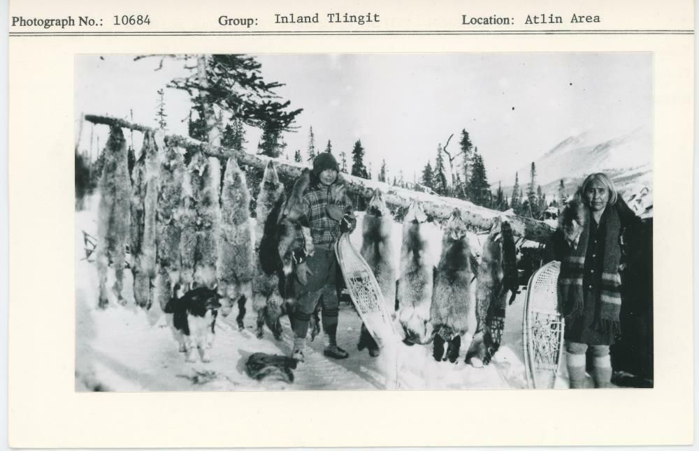 Image representing photograph.