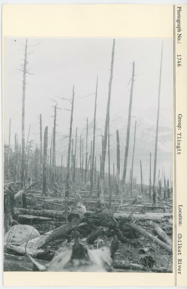 Image representing photograph.