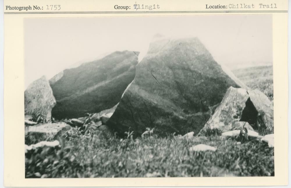 Image representing photograph.