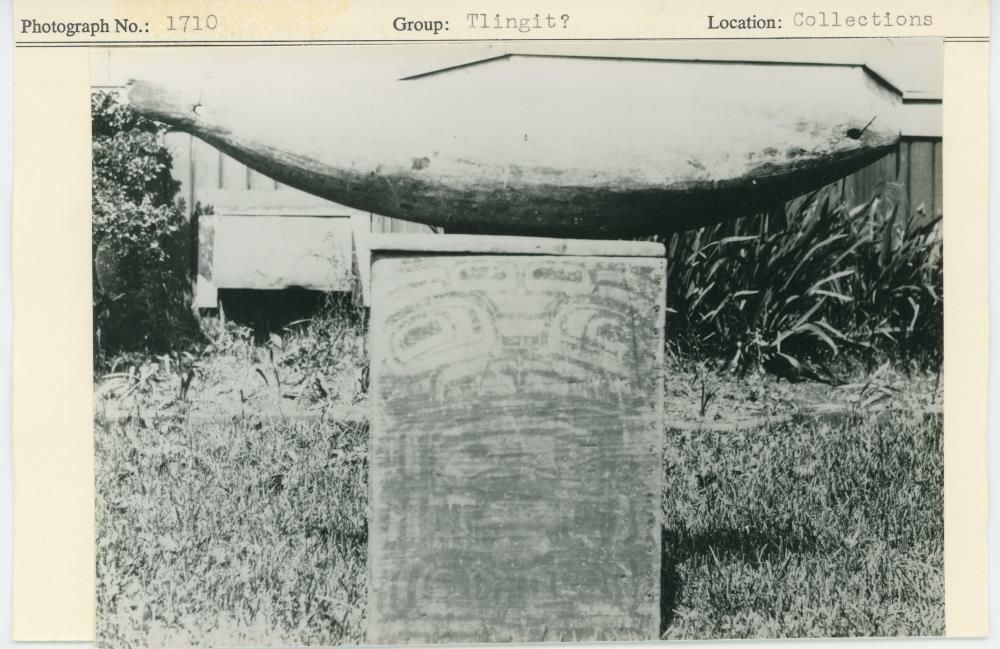 Image representing photograph.