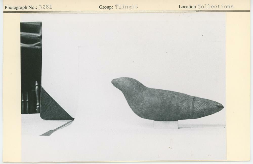 Image representing photograph.