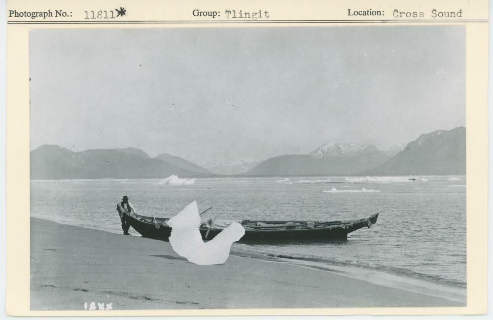 Image representing photograph.