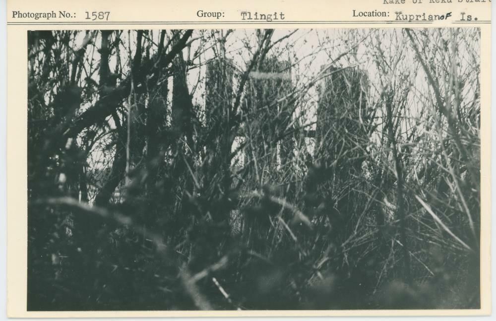 Image representing photograph.