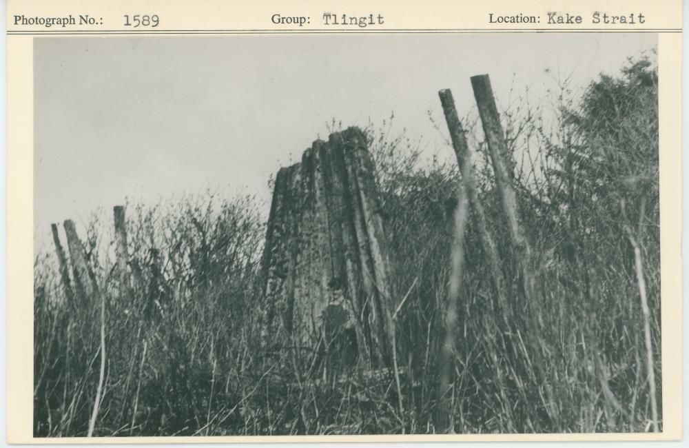 Image representing photograph.