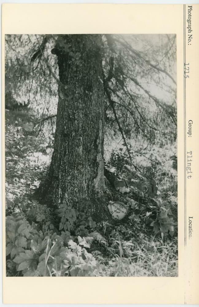 Image representing photograph.