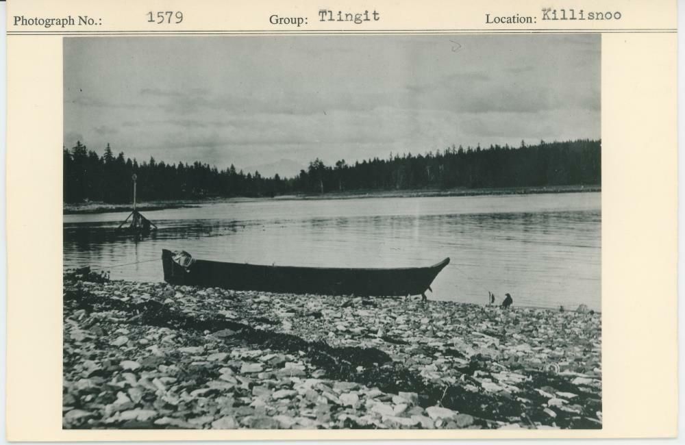 Image representing photograph.