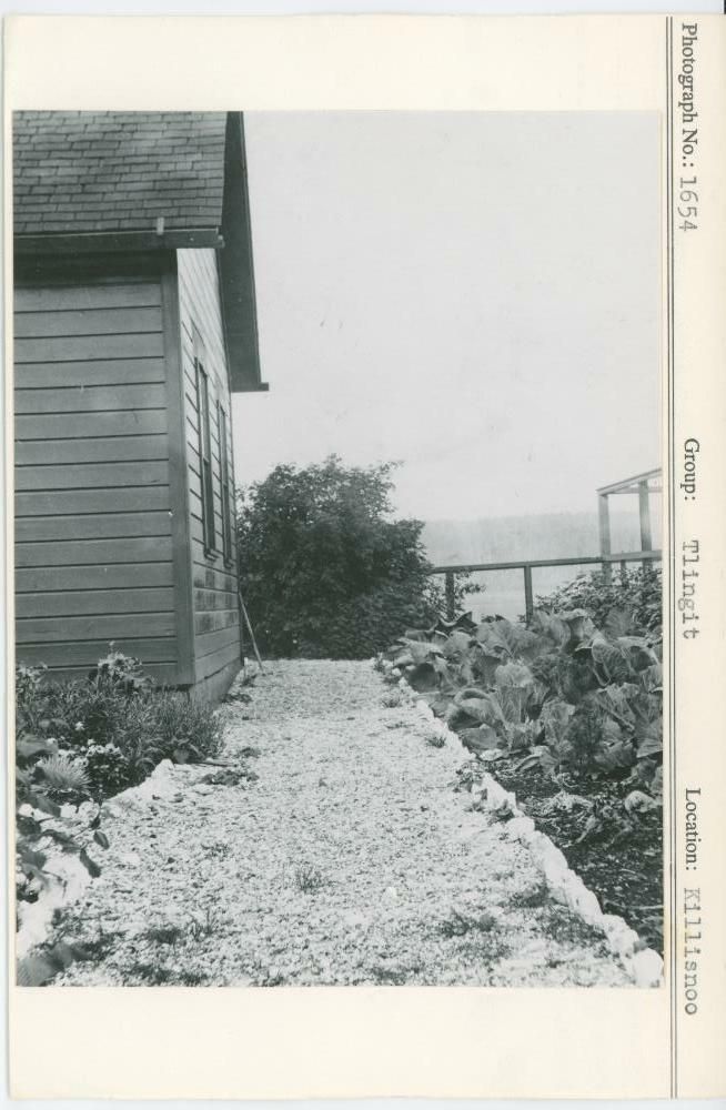 Image representing photograph.