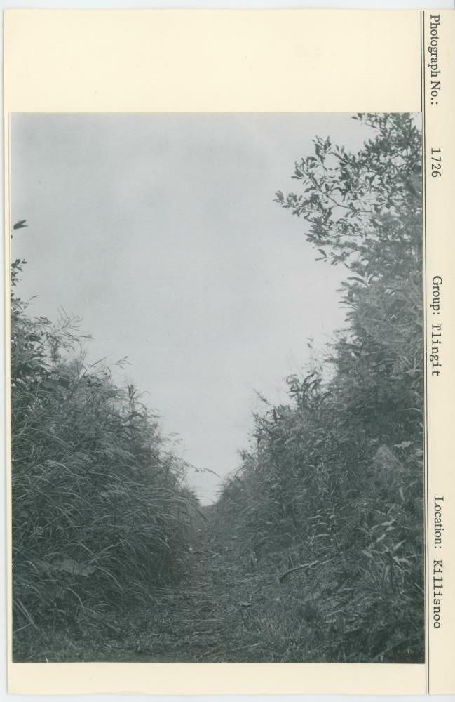 Image representing photograph.