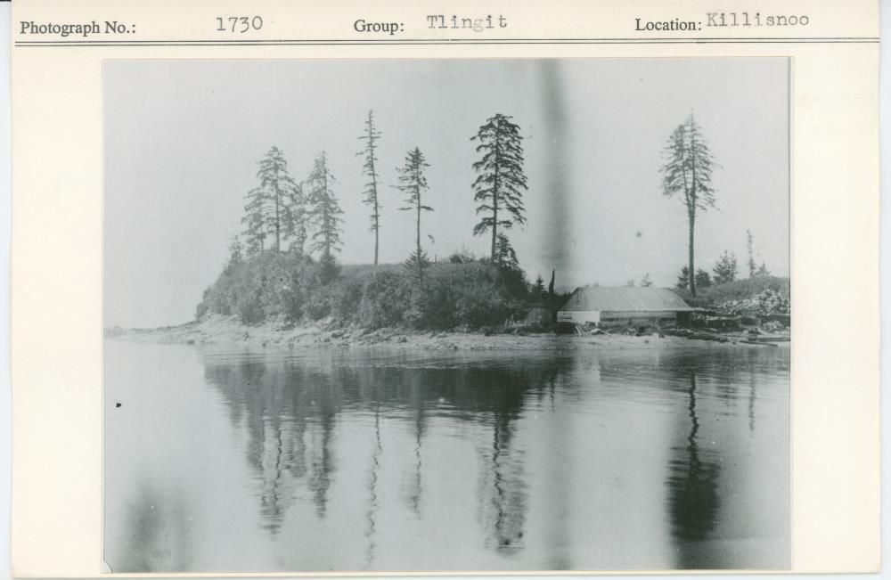 Image representing photograph.