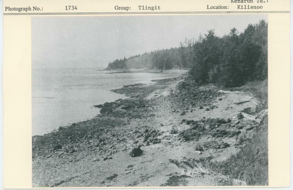 Image representing photograph.