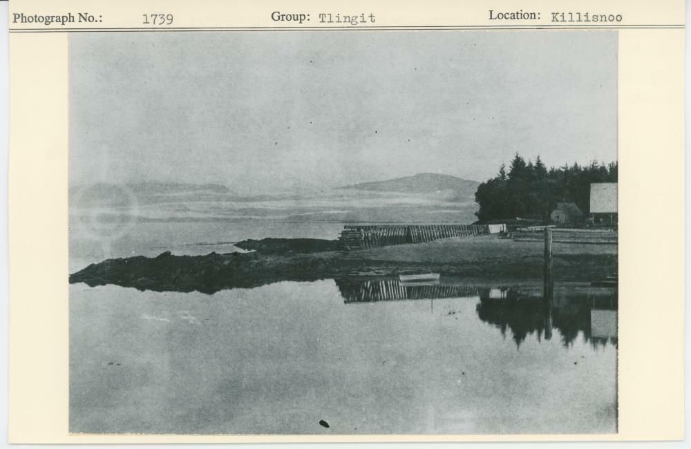 Image representing photograph.