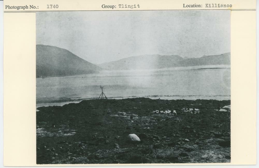 Image representing photograph.