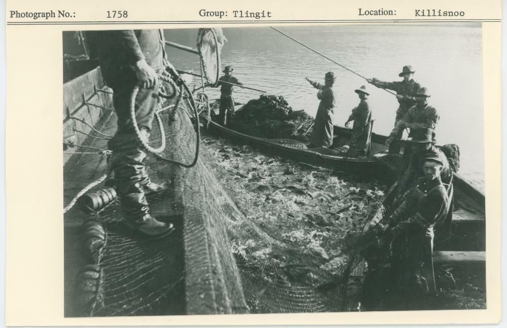 Image representing photograph.