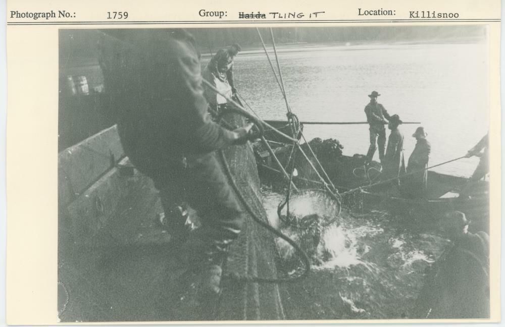 Image representing photograph.