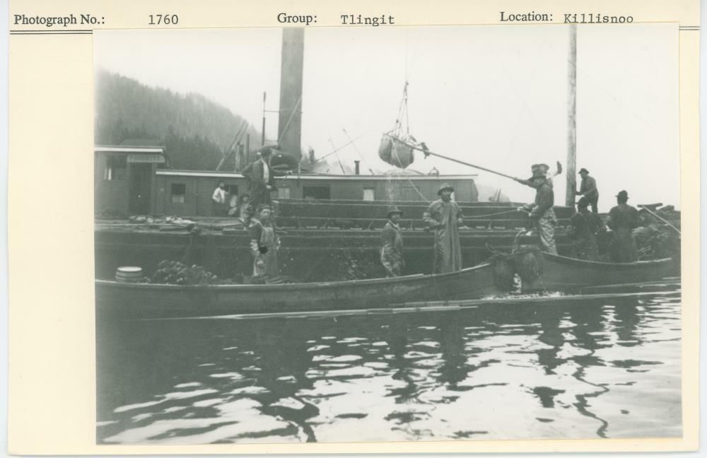 Image representing photograph.