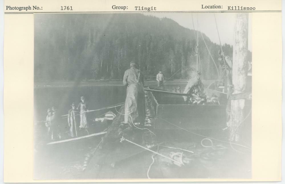 Image representing photograph.