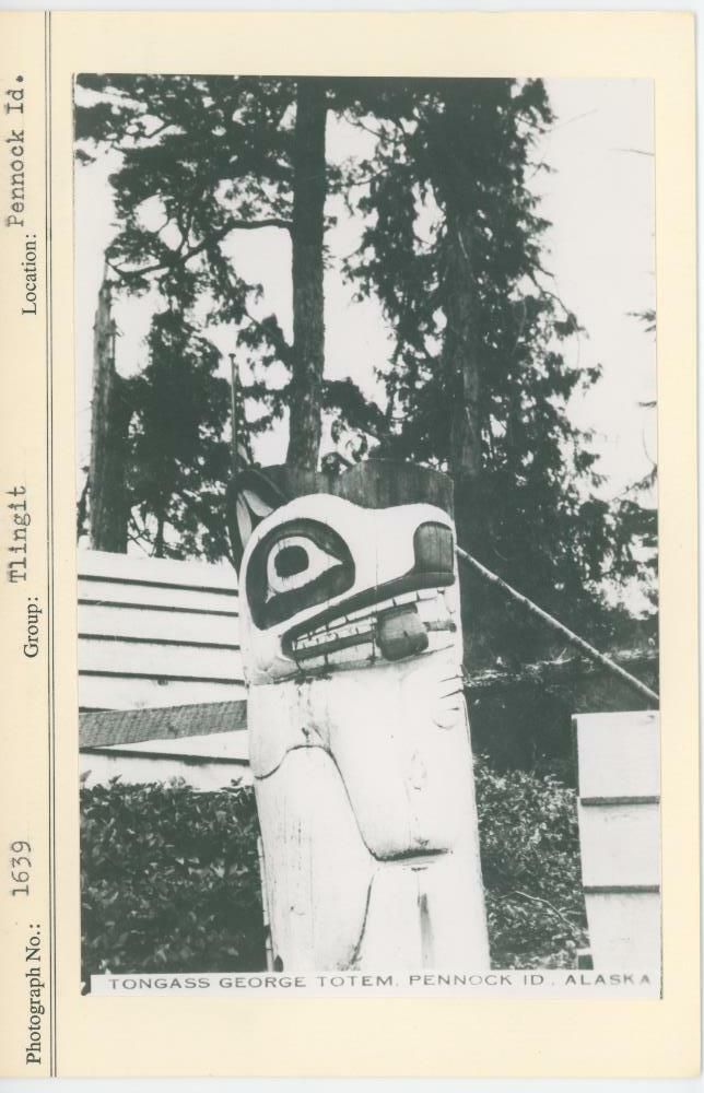 Image representing photograph.