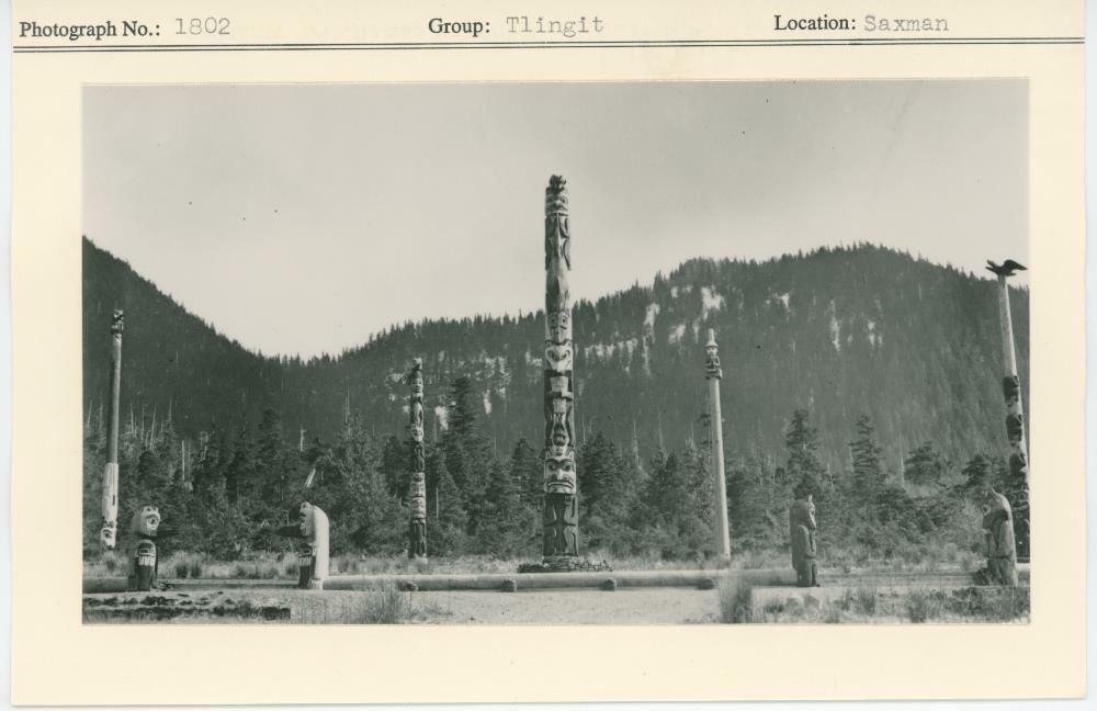 Image representing photograph.