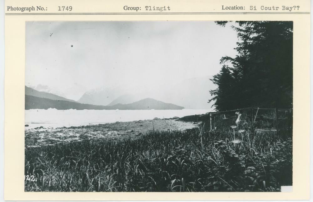 Image representing photograph.