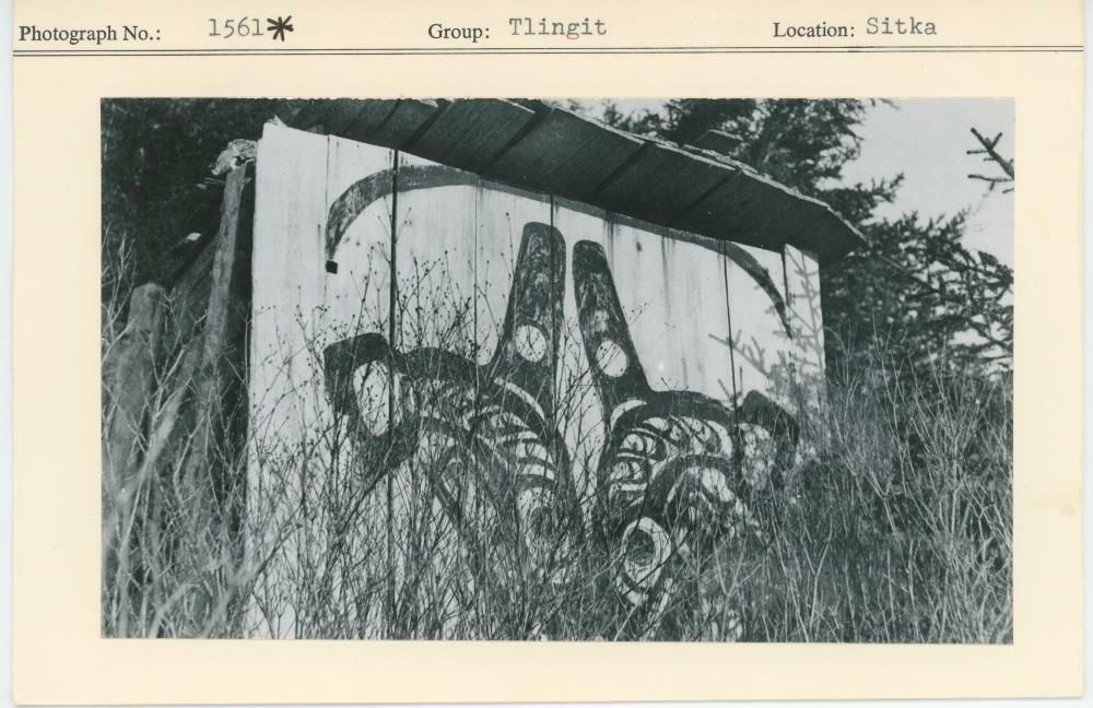 Image representing photograph.