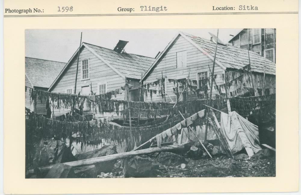 Image representing photograph.