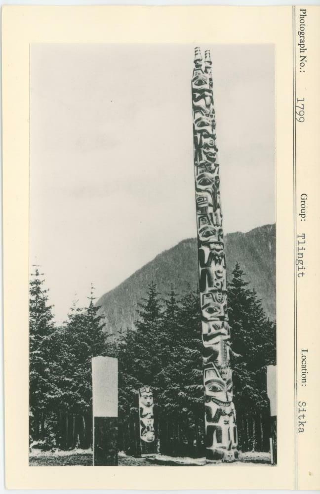 Image representing photograph.