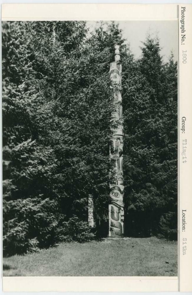 Image representing photograph.